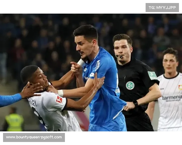 霍芬海姆对勒沃库森花絮：球迷烟火中断比赛十分钟